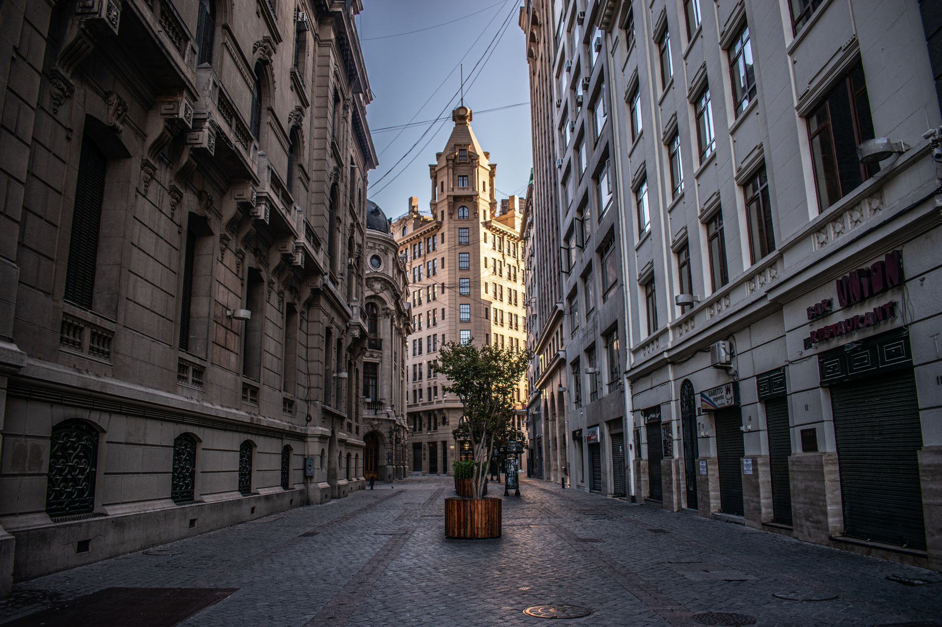 Tree-lined street in Santiago, Chile